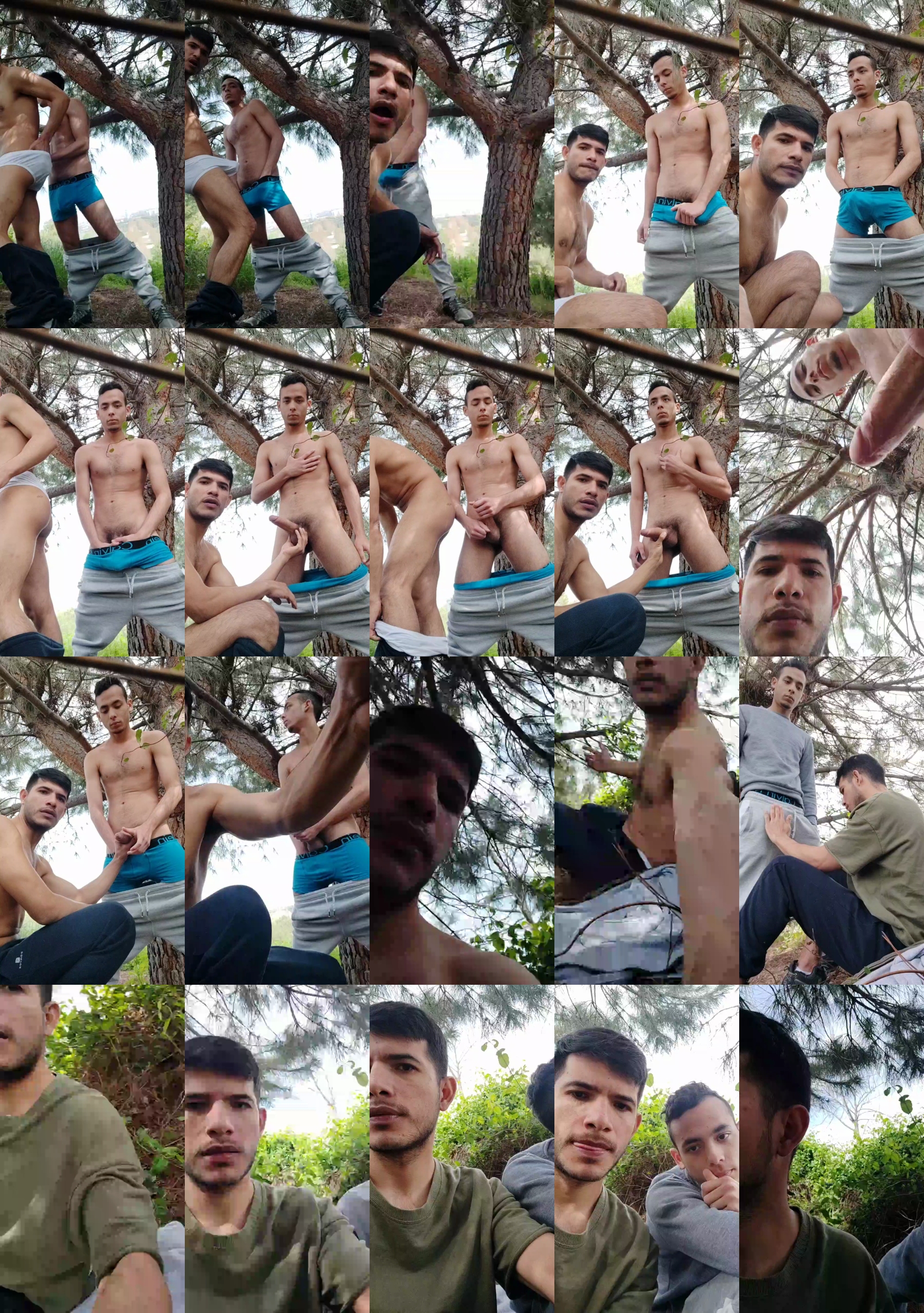 IPassionate  28-03-2022